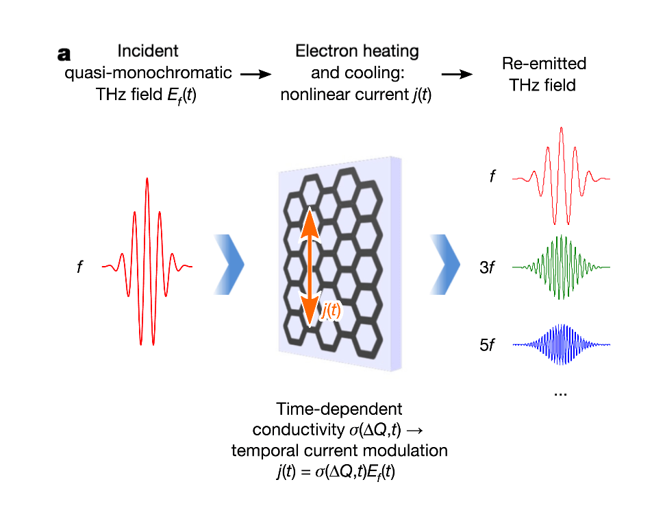 Image showing the schematic of the experiment.