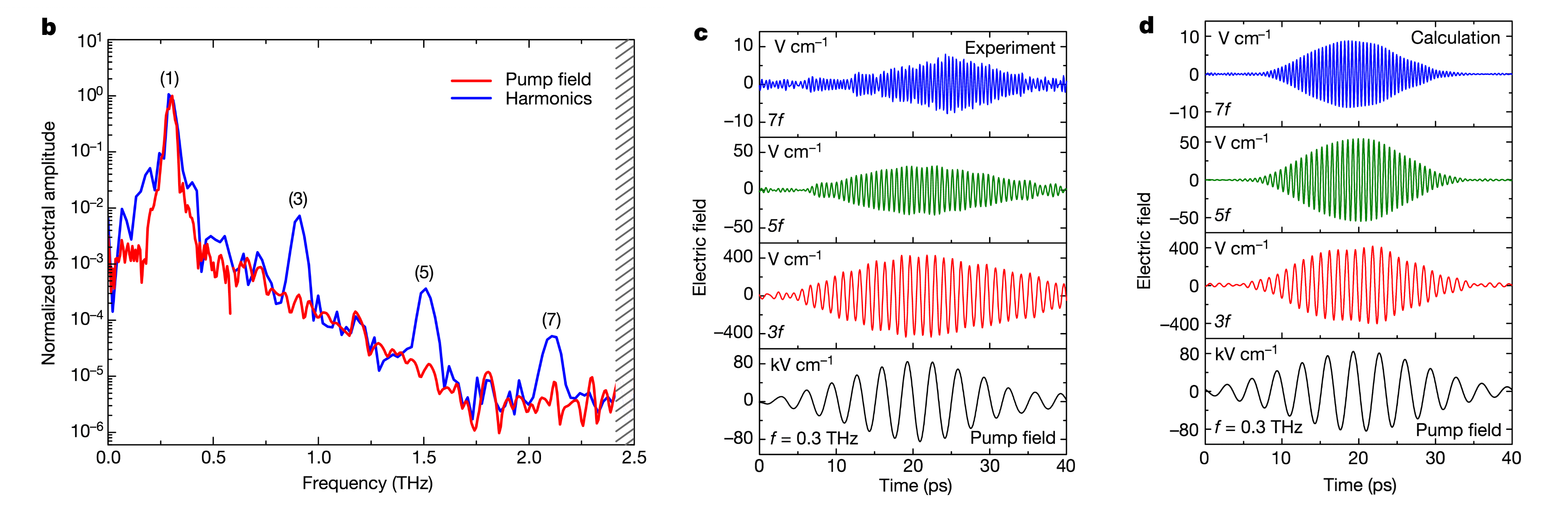 IImage: Showing the typical results of the experiments. 