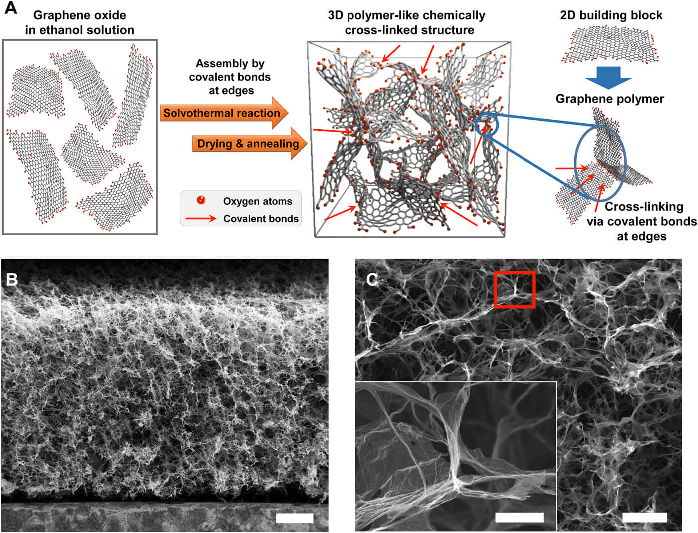 Image: Squishy cold graphene foam expereimental setup.